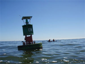 Tour to Fire Island's Sunken Forest