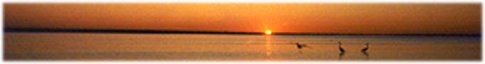 Moriches Bay sunrise